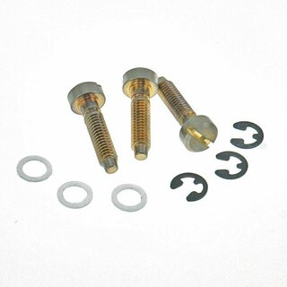 SS-GA (3pcs.) 	Faber Saddles Replacement screw, Brass, gold plated, aged 