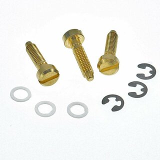 SS-GG, Saddles Replacement screw, Brass, gold plat, glossy, (3pc
