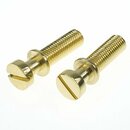 TPST-IGG        		Vintage style tailpiece studs, gloss...